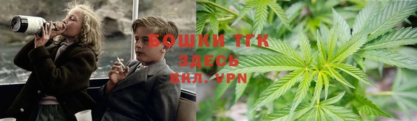 дмт Богданович