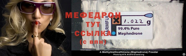 дмт Богданович