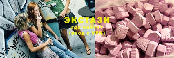 дмт Богданович